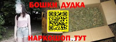 дурь Сланцы